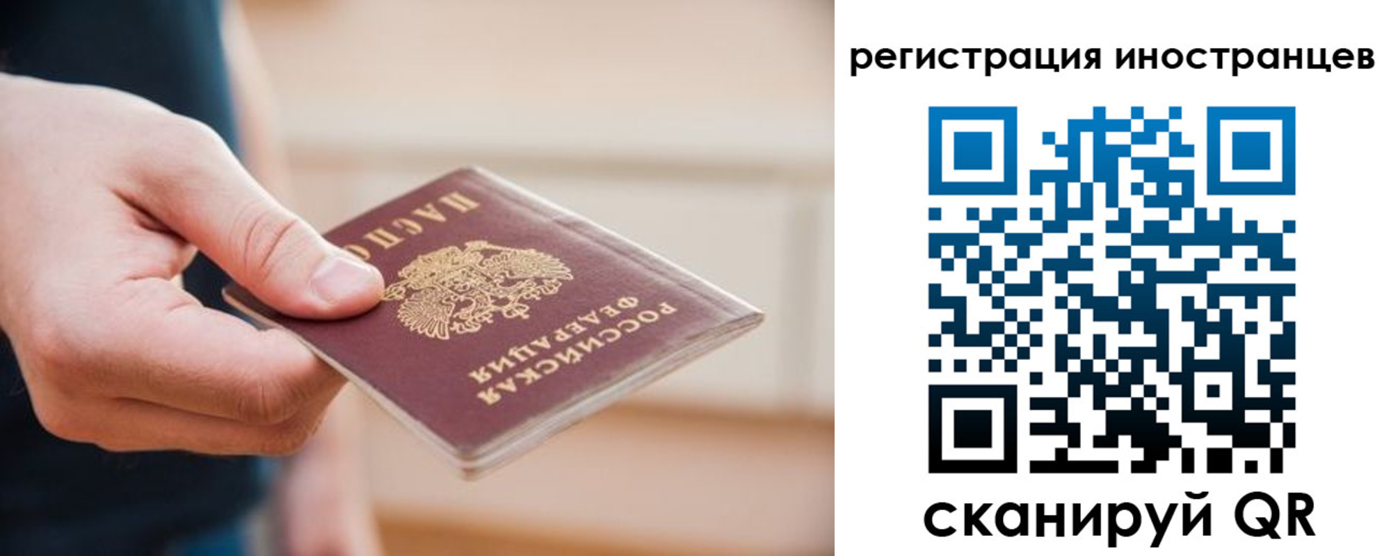 прописка гарантия в Ростове-на-Дону
